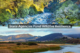 State Agencies Fund Wildfire Resilience Cover, Creek running through rocks and trees, Grasslands