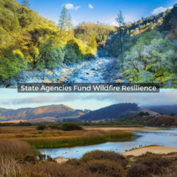 State Agencies Fund Wildfire Resilience Cover, Creek running through rocks and trees, Grasslands