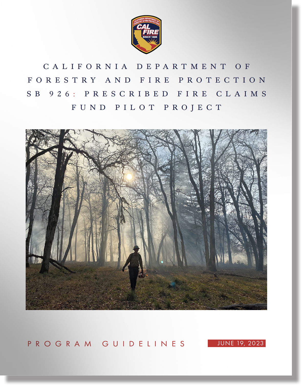 Forestry and Fire Protection Report Cover