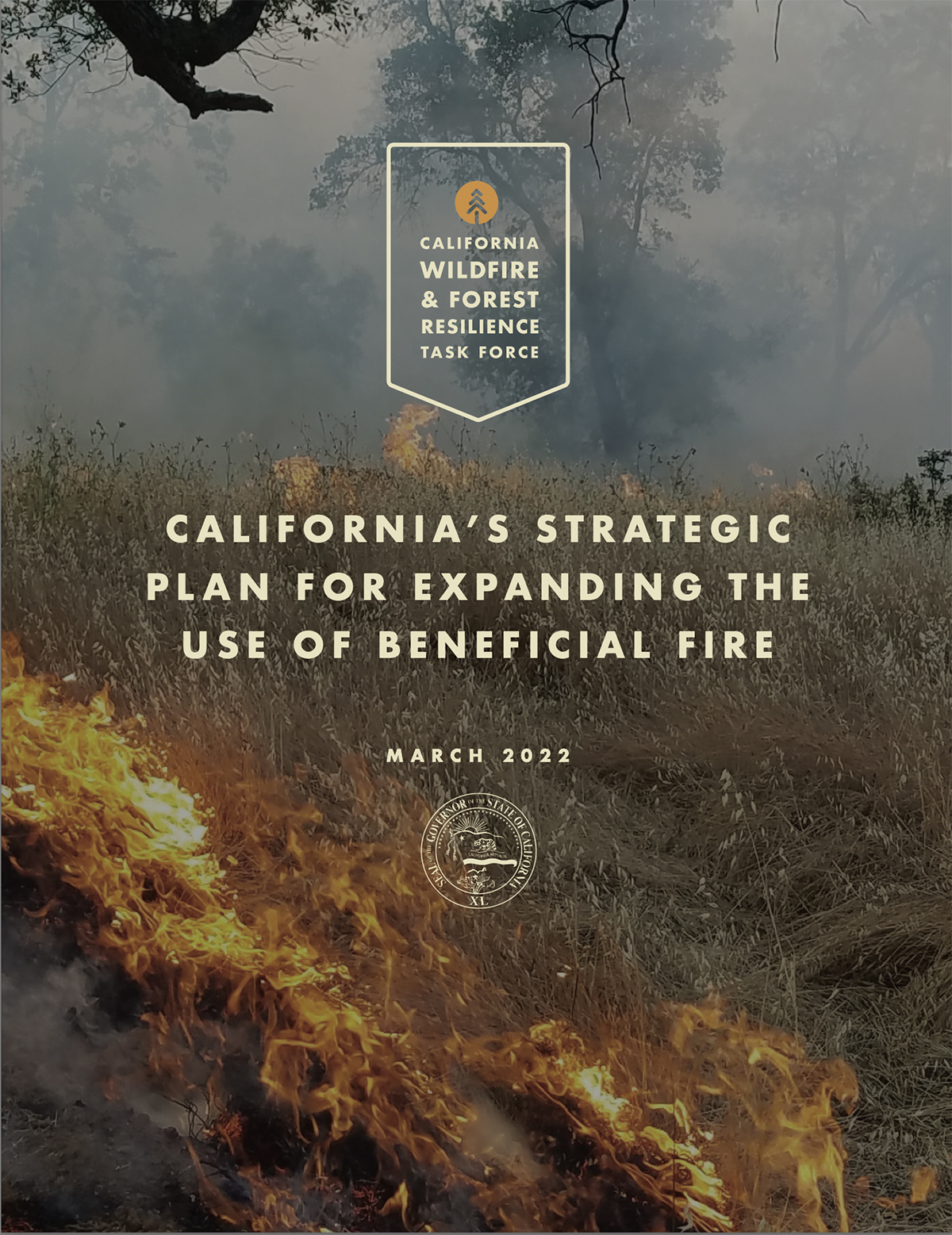 Report Cover for Strategic Plan