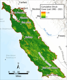 Cumulative shrub cover lost 1992 - 2021 Map