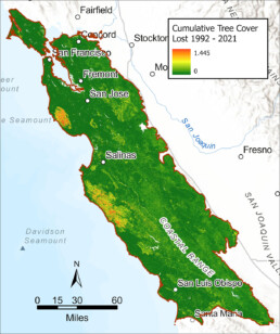 Cumulative tree cover lost 1992 - 2021 Map