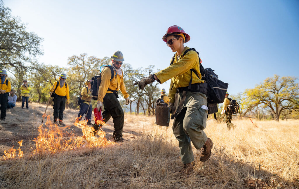 Maunakea'S East Slope Wildland Fire: Building A More Resilient Community - 5m37y1a