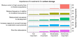 Importance of Investments for Carbon Storage Histogram