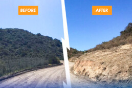 before and after fuels reduction work